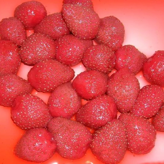 
light syrup canned strawberry fruit hot sale China plant manufacturer in glass jar/ tin long shelf life 