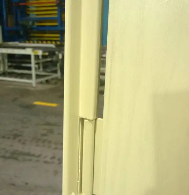 ECONOMIC STEEL DOOR