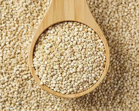 Factory supply superfood quinoa grain powder/quinoa bulk /quinoa seed powder