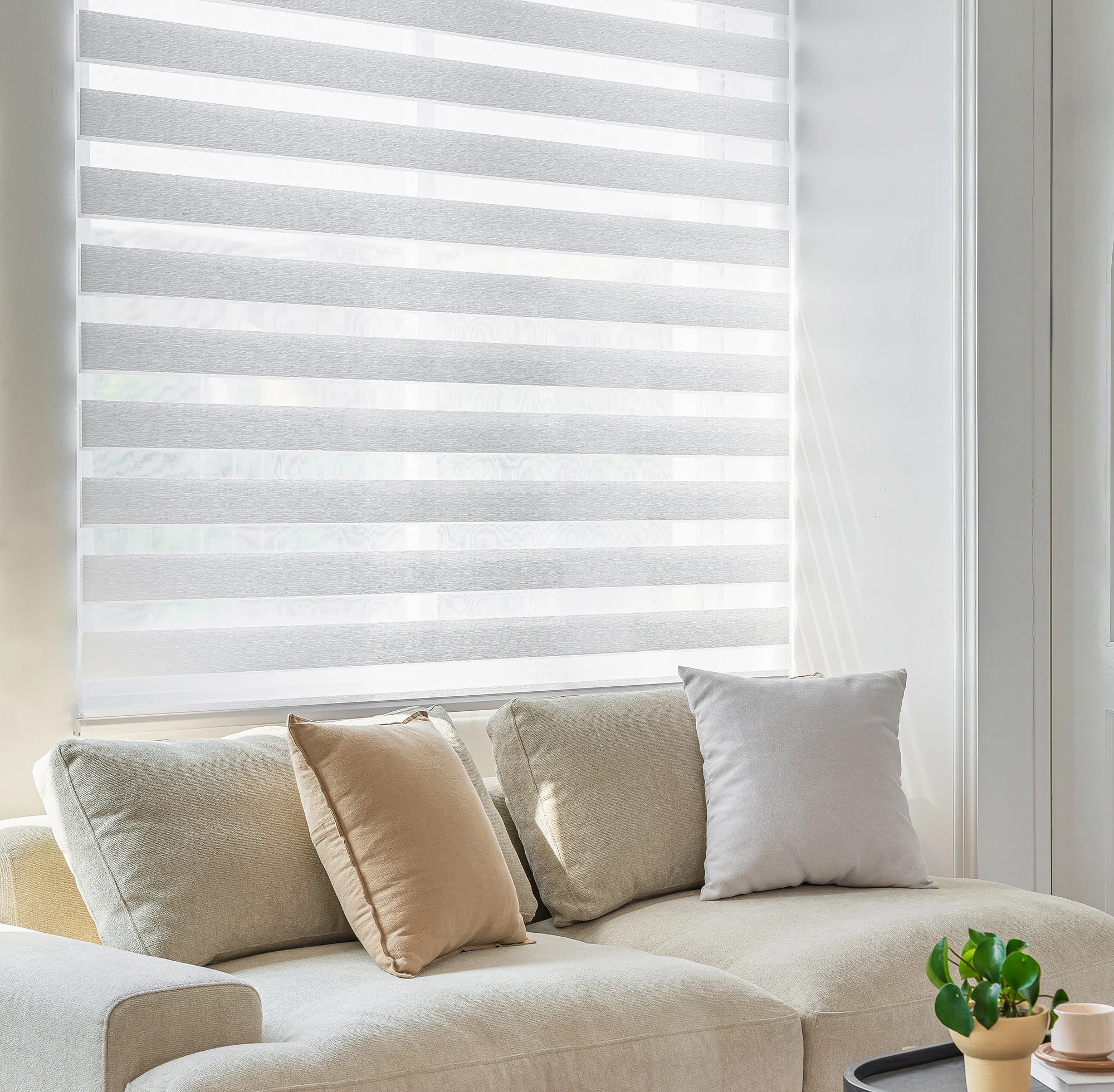 Cordless Zebra Blinds for Windows, Light Filtering Cordless Zebra Shades, Window Roller Shades Day and Night Zebra Blinds
