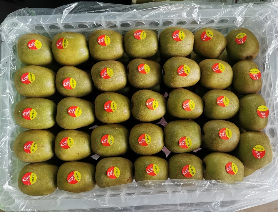 Бутик фруктов питательный зеленый продукт свежий киви для
