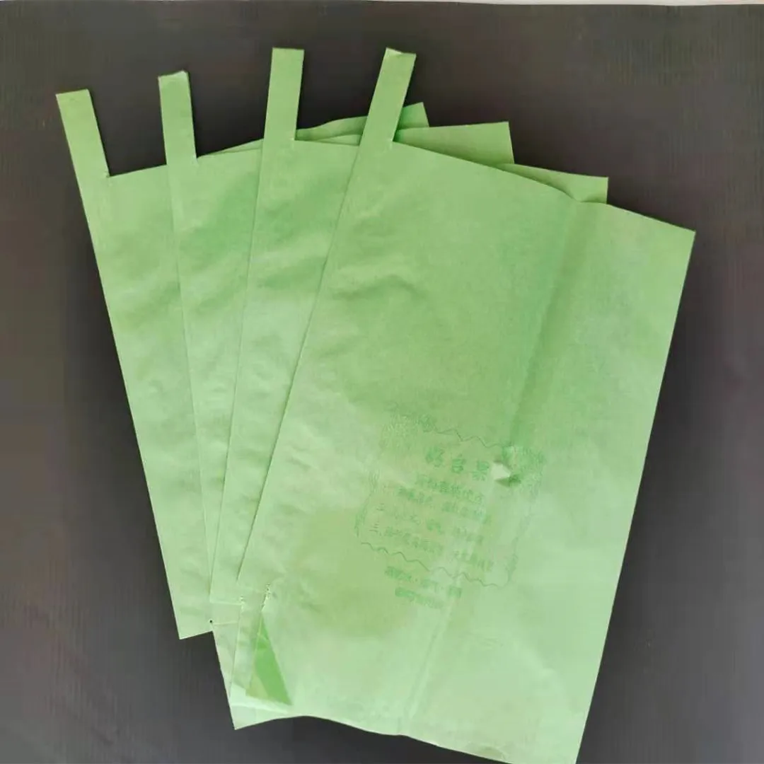Wholesale customized waterproof  fruit growing protection wrapping mango paper bag grape bags for fruit grow