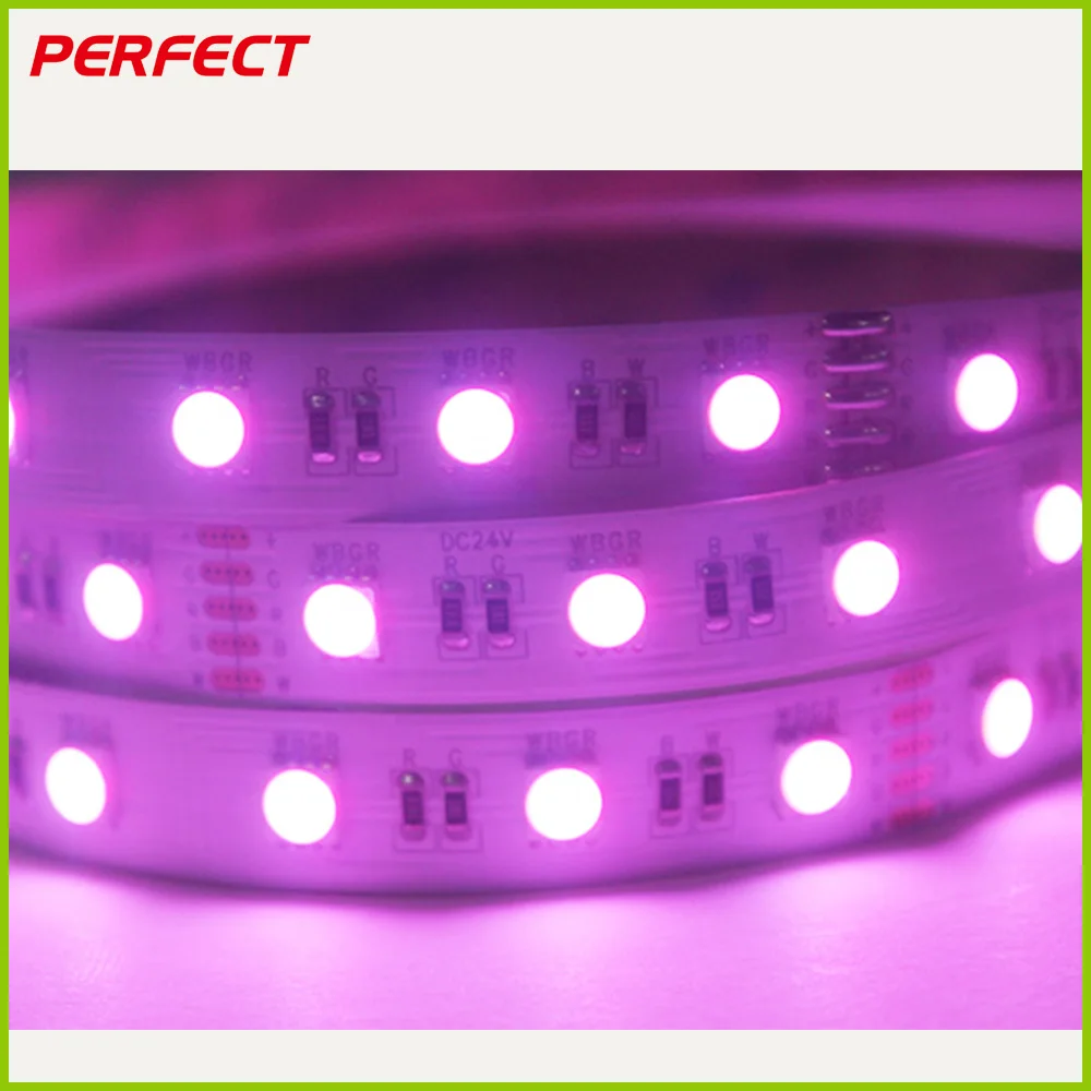 5m Remote Control RGB+W 24V 60LED/M smart wifi 5050 rgbw led strip lights