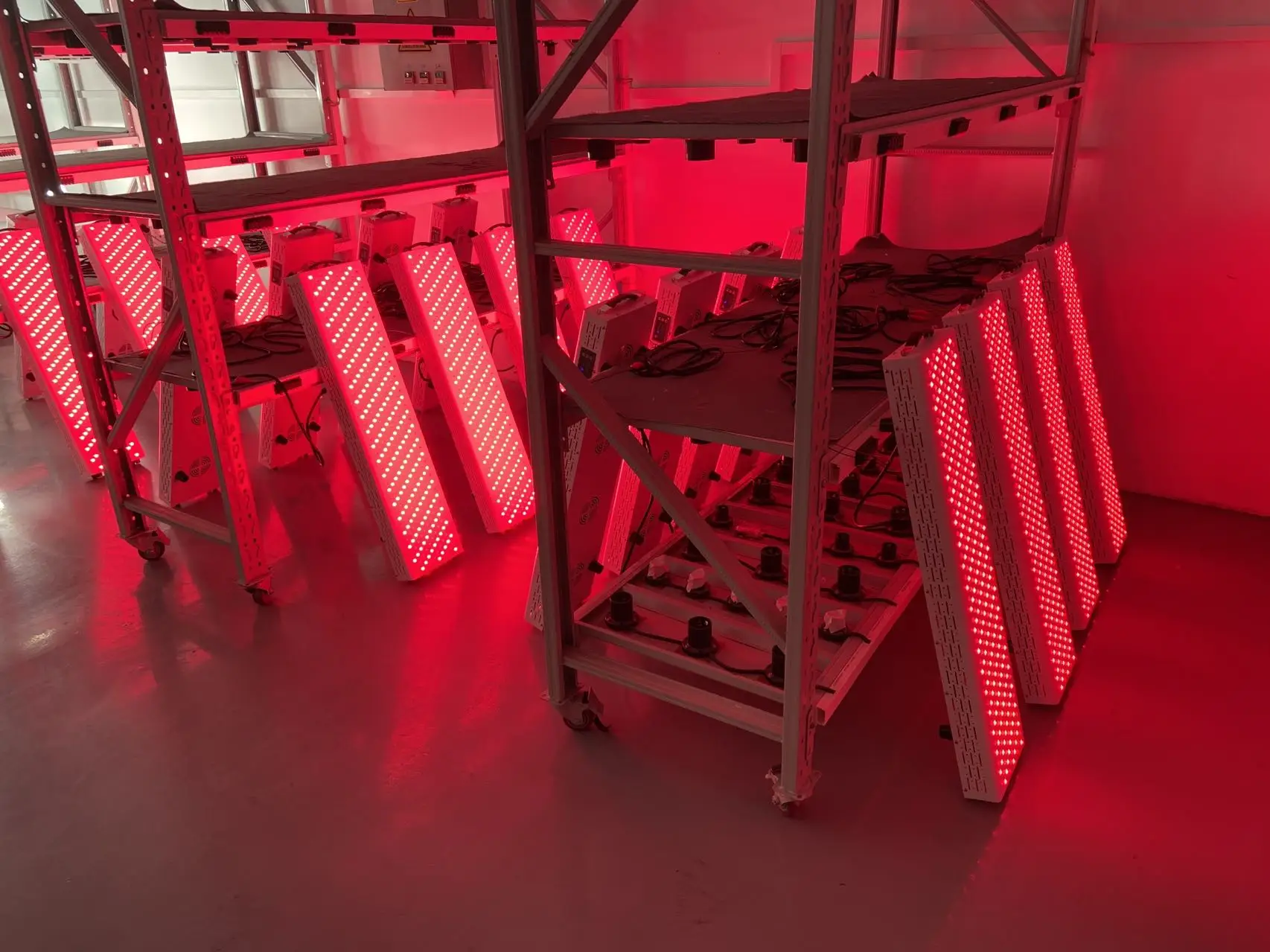 red light panel 1 (12).jpg