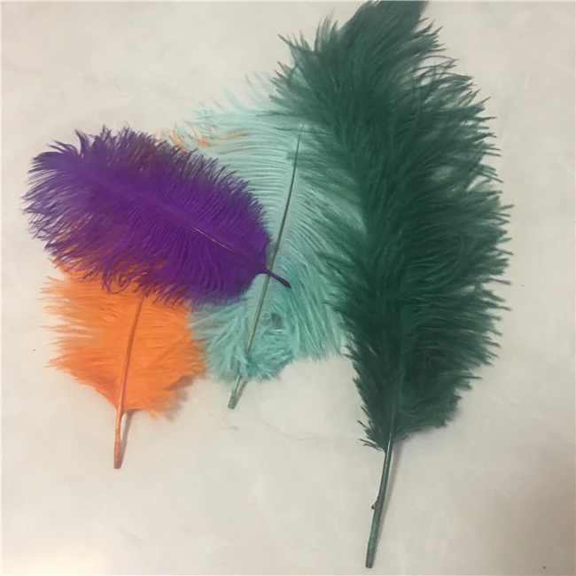 Оптовая цена настоящие страусиные перья высокие пампасы