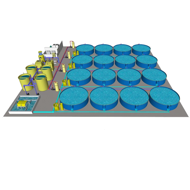 Tilapia Koi Fish Shrimp Indoor Farming Equipment Ras Aquaculture System With Drum Filter Protein Skimmer for Pond or Aquarium