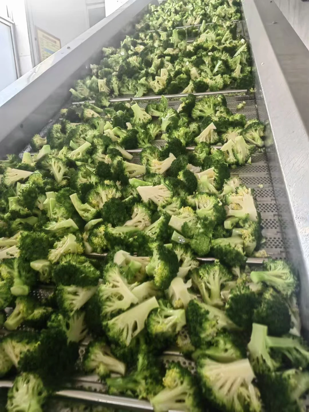 Hot Selling Good Quality Bulk Fresh Cauliflower Organic Vegetables Frozen Broccoli