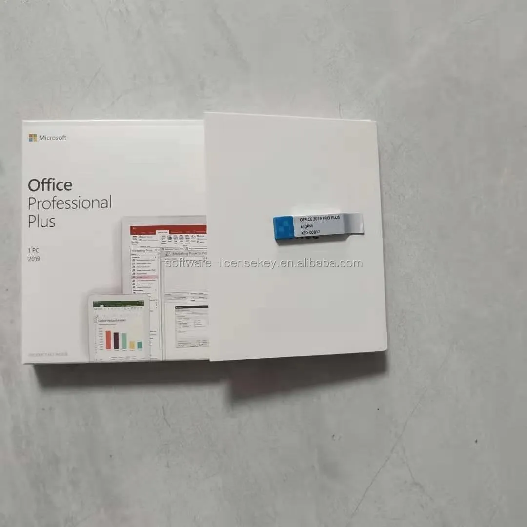 Офис 2019 Профессиональный USB полный пакет офис Pro Plus установка по