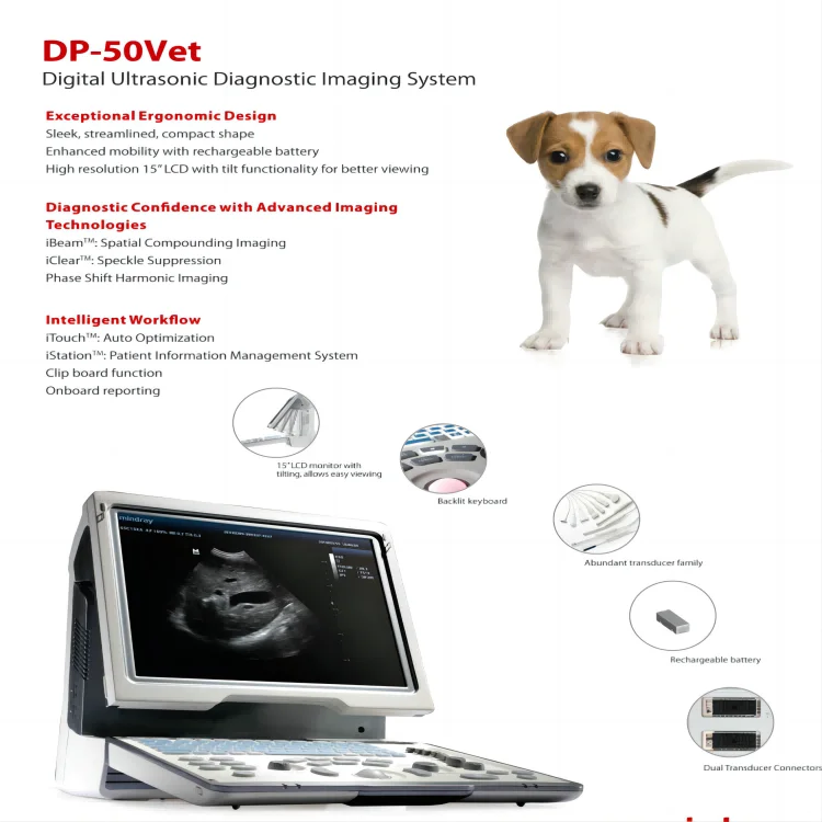 DP-50Vet1(1).png