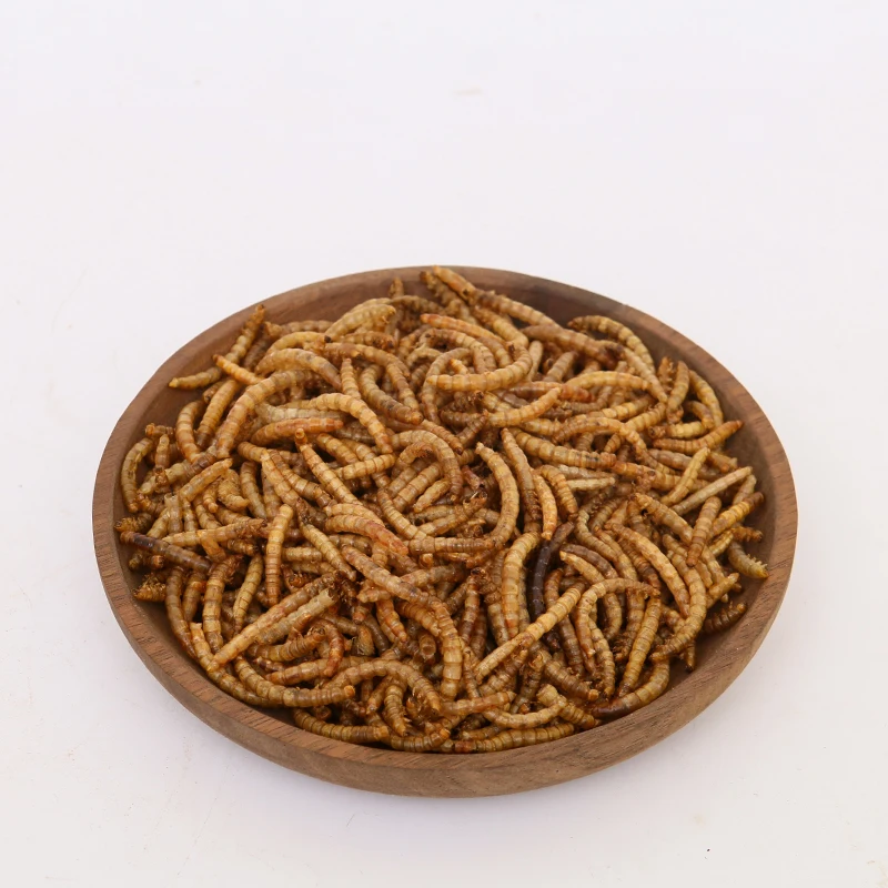 Wholesale Dry Bulk Frozen Top High Protein Dry Mealworms