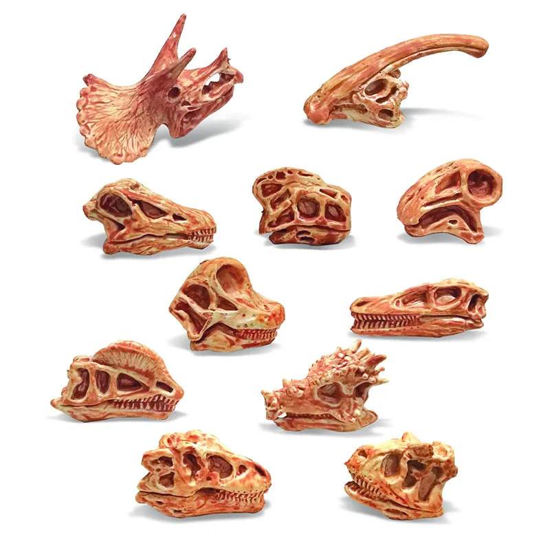 
Amazon Hot Selling 11PCS Simulation Dinosaur Skull Set T-rex Carnotaurus Velociraptot Brachiosaurus Nigersaurus Diplod 