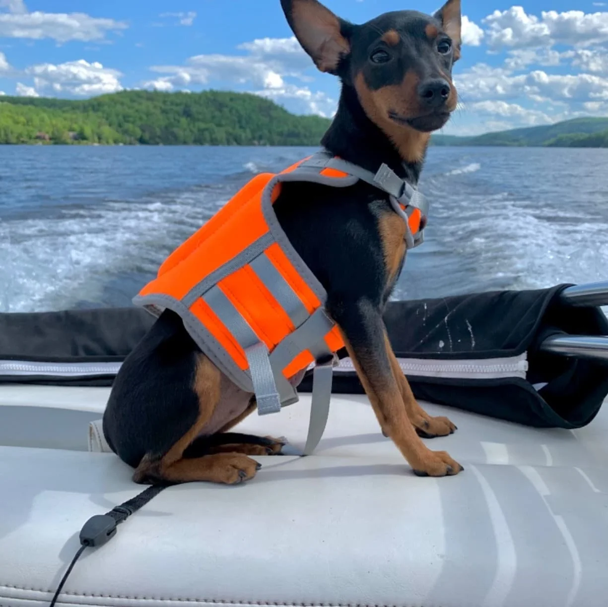 new design high quality watersports customized dog life jacket life vest custom prints