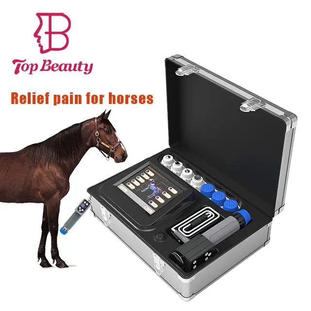 horse therapy machine horse therapy horse solarium