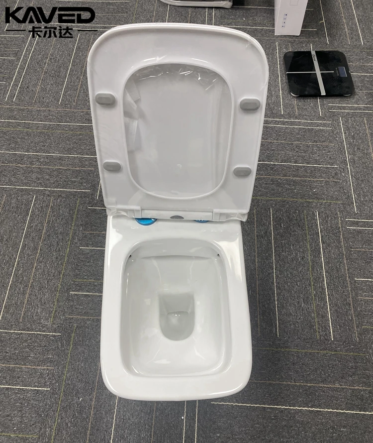 water closet back to wall hung concealed toilet sits bathroom wc