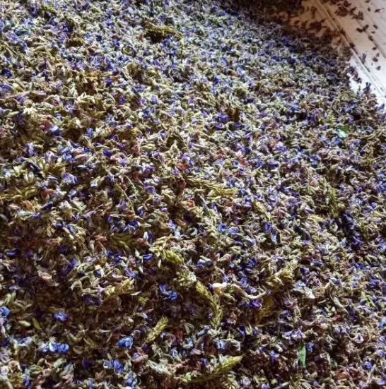 
High quality natural raw dried Flower of Kudzuvine flos puerariae 