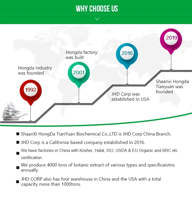 
China USA warehouse stocks supply hot selling different specification astragalus root extract 4:1 10:1 
