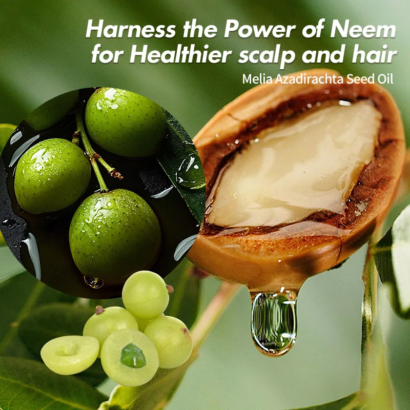 Neem Oil Private Label Natural Olive Argan Oil Organic Hair Growth Essential Oil Product For Men&Women