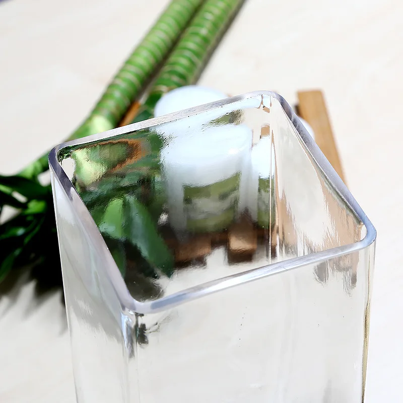 Modern Square Glass Vase Rich Bamboo Flower Arrangement Hydroponic Home Vase Transparent Vase