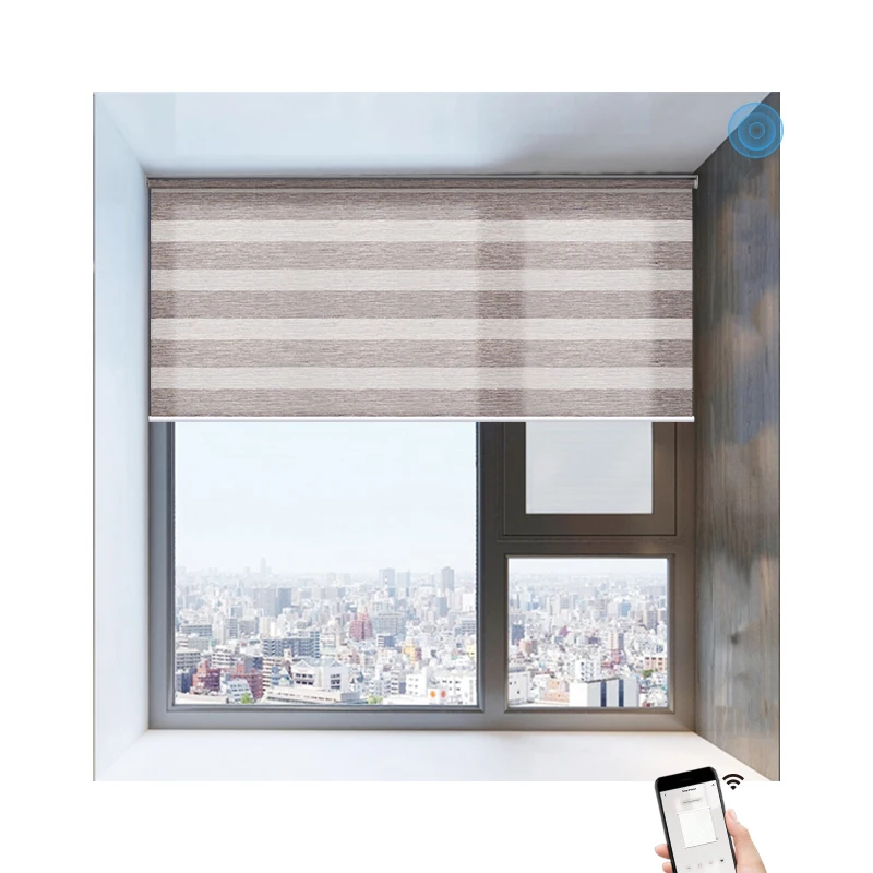 Deyi Smart smart things google assistant alexa homekit tuya compatible cordless motorized rolling zebra blinds