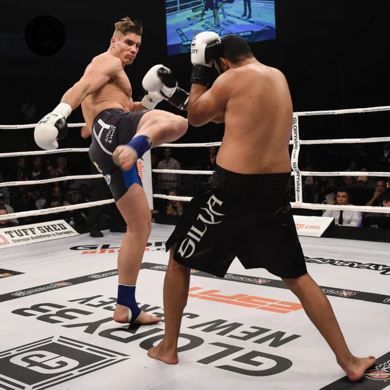  Стандартное напольное боксерское кольцо WBC с сертификатом