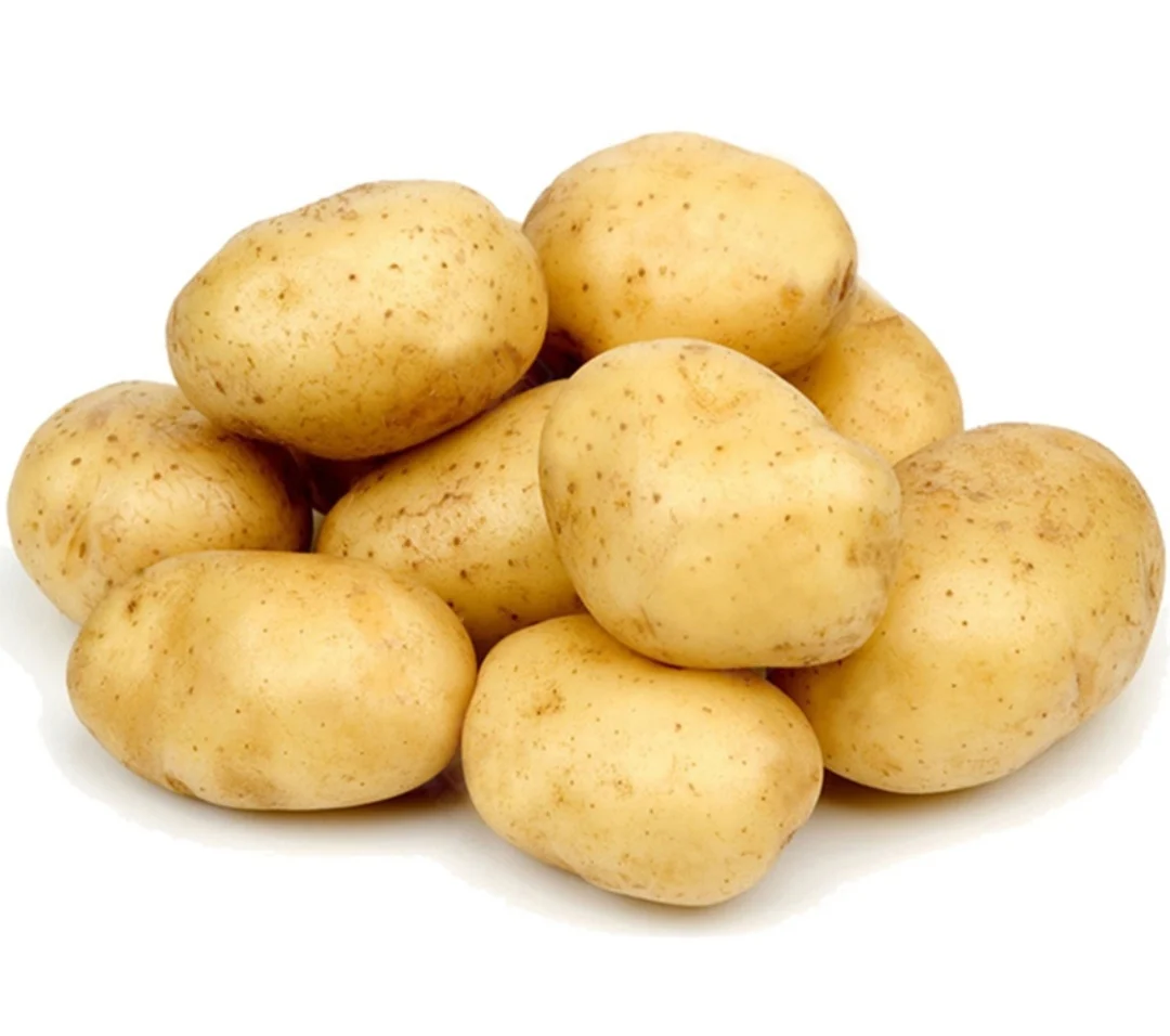 2021 new crop wholesale fresh potato  yellow potato