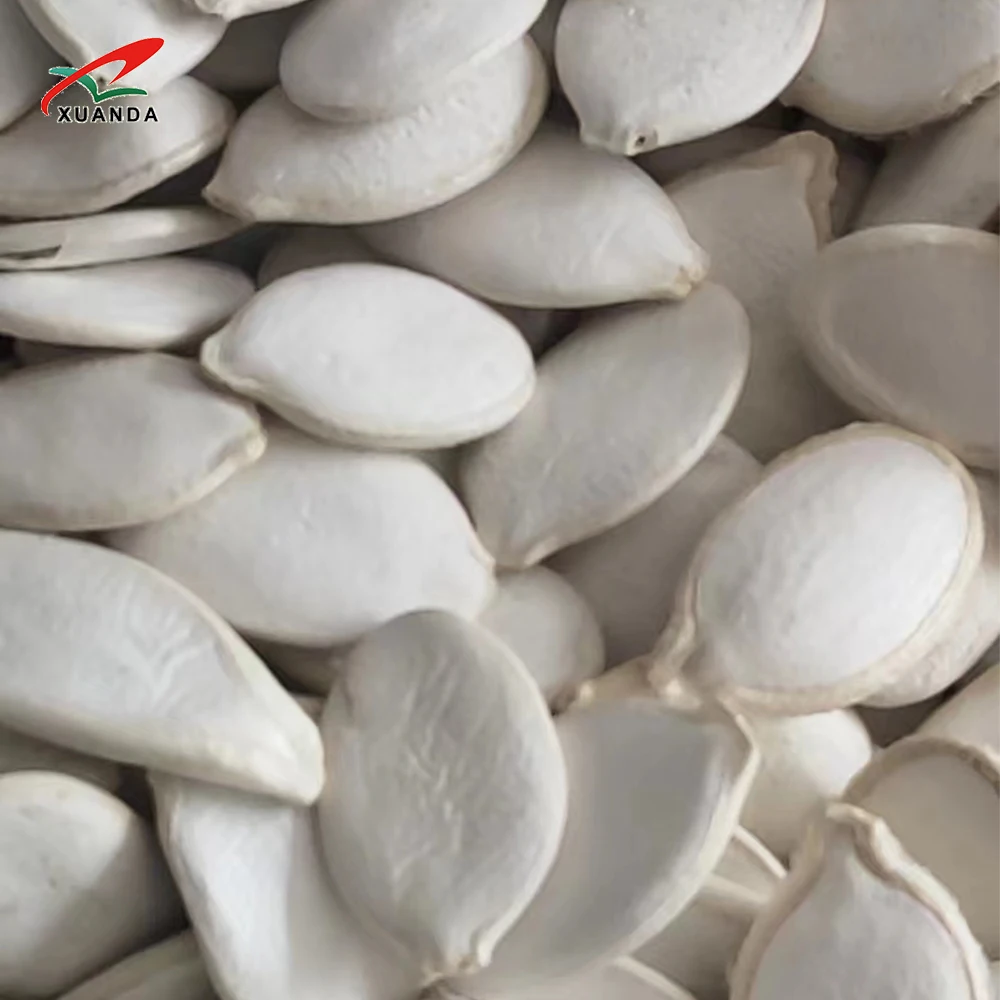newest crop seeds and Nuts Hot Sale Dried Snack Top Grade 100% Natural Snow White Pumpkin Seeds