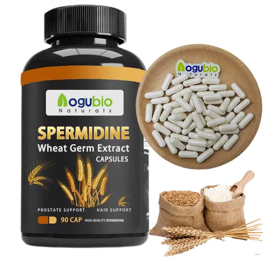 High quality 99%  Spermidine capsulescapsules wholesale  Spermidine capsules