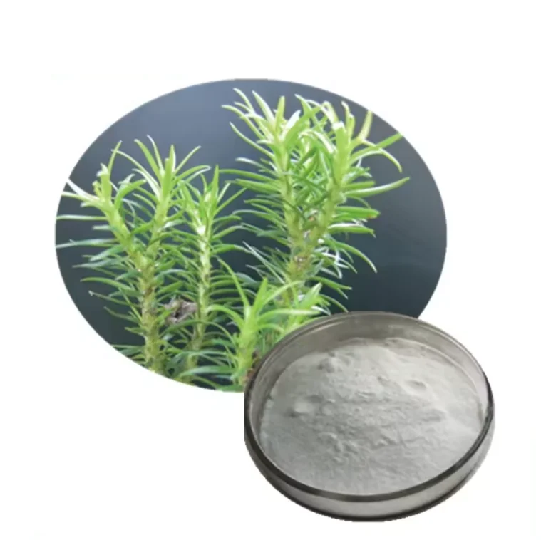 1% 99% Huperzine A Raw Material  Huperzia Serrata Extract powder factory supply