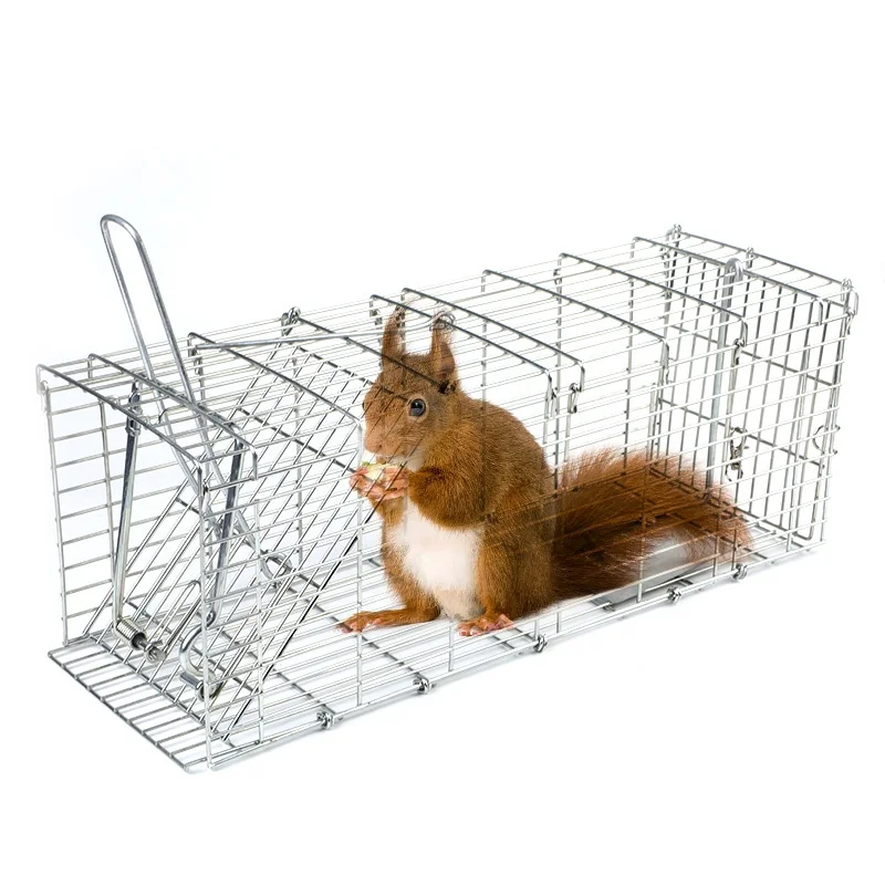 Wholesale Customizable Various Sizes Metal Foldable Living Wild Animal Trap Cage
