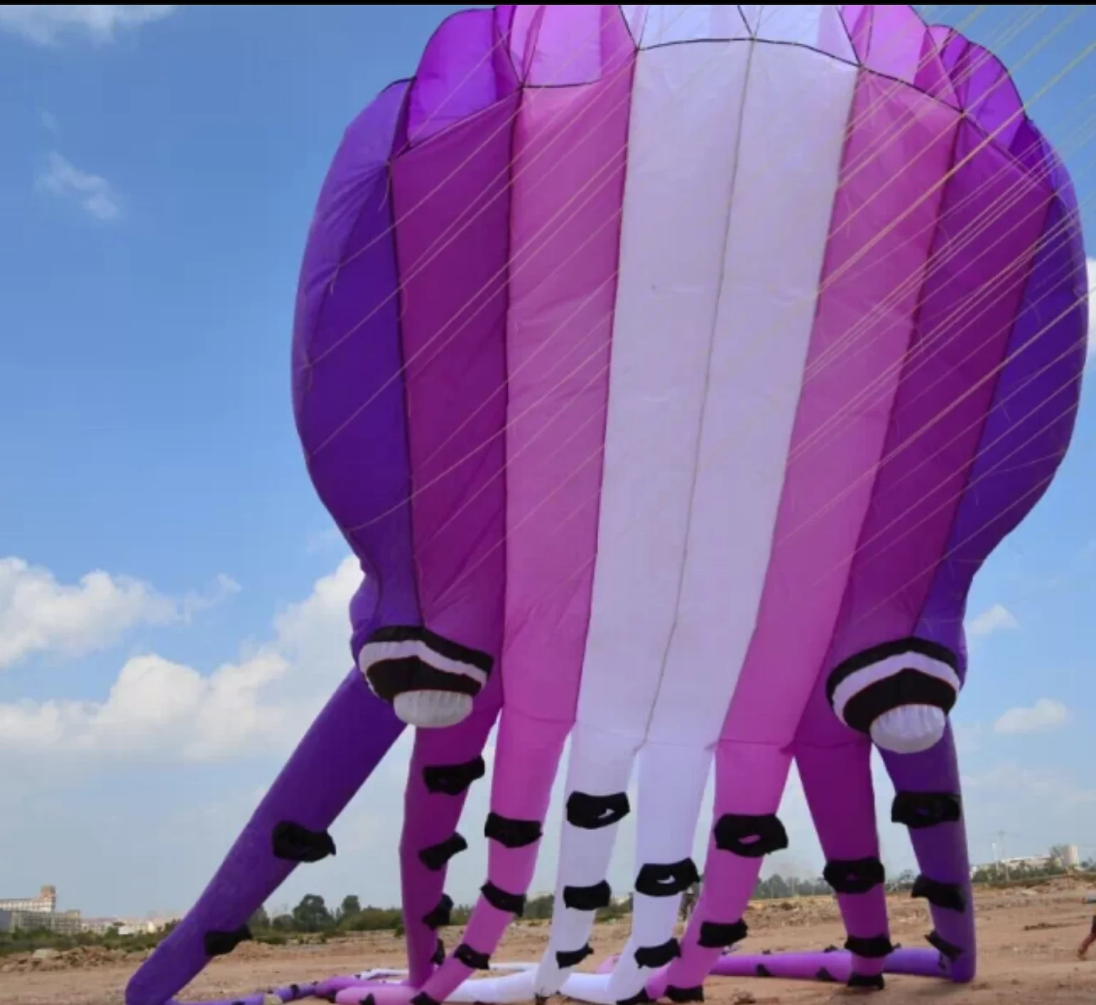 Wholesale chinese  ripstop polyester  23m length easy flying octopus giant pilot lifter inflatable soft beach show kite for sale