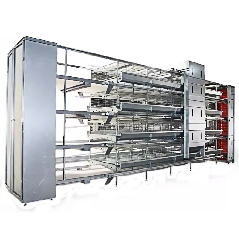 Modern H-Design Automatic Chicken Broilers Cage System 4-5 Tiers for Poultry Farm Steel Layer & House for Chick & Bird