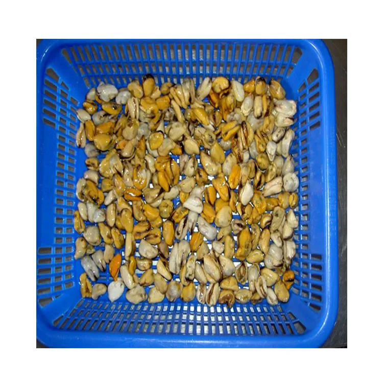 Seafood Fish Frozen Mussel Meat Detail Raw Freshwater Of Mussel Meat Without Shell Iqf
