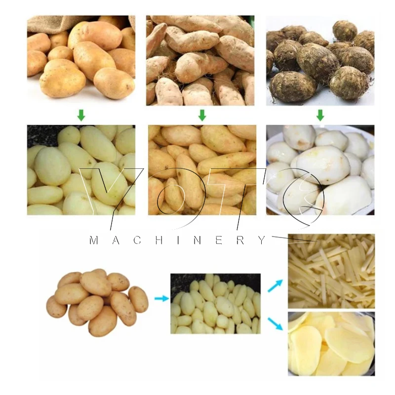 Automatic Fruit Washing Peeling and Slicer Machine for Ginger and Potato Chips in Egypt