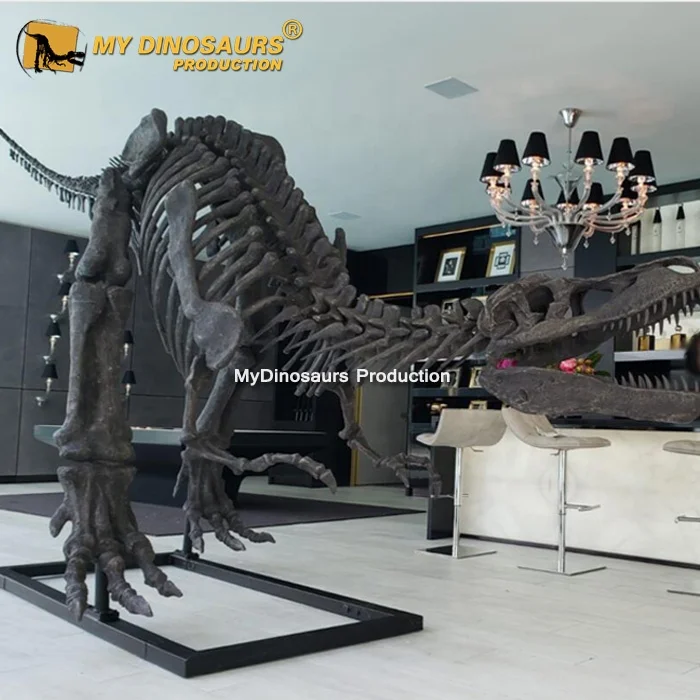 My Dino Life Size Dinosaur T-rex Skeleton for Shopping Mall