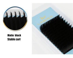 Korea private label lashes extension suppliers Factory eyelash extensions volume individual 3d mink eyelashes