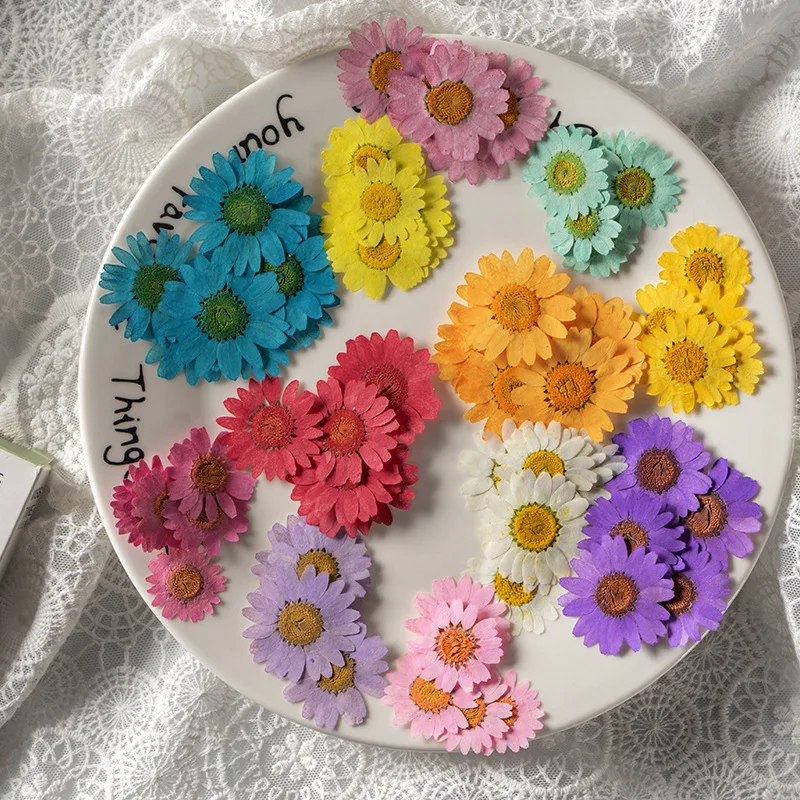 Pressure With Branches DIY Epoxy Resin Dried Flower Pressed Flower chrysanthemum Marguerite Daisy