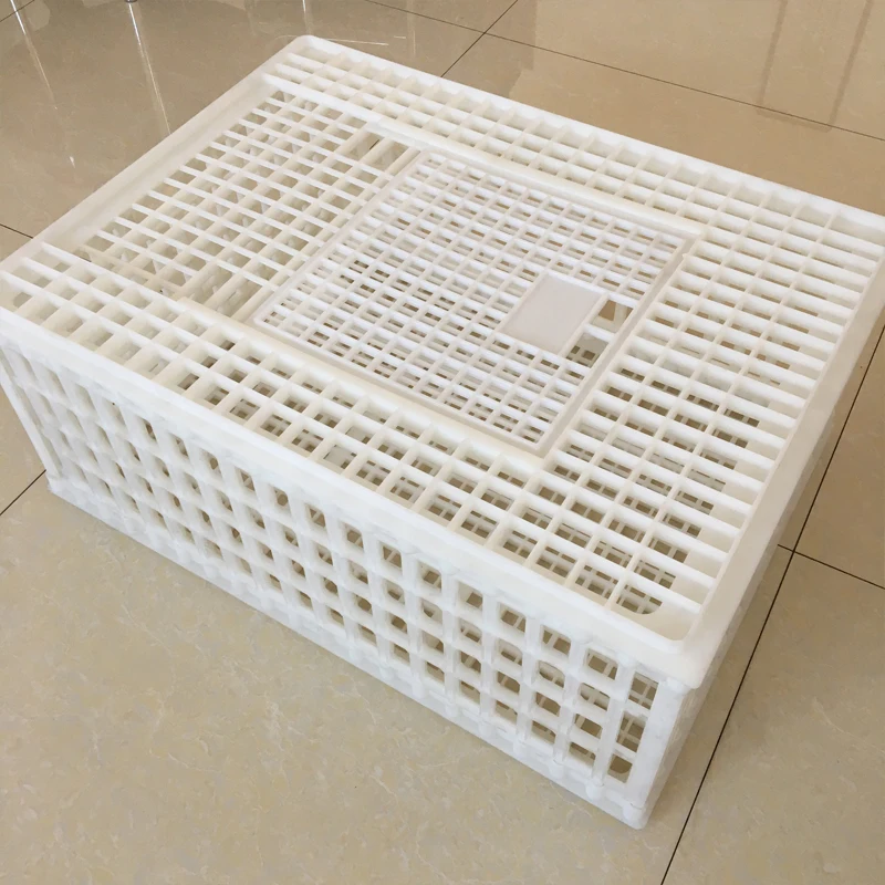 best selling chicken/broiler plastic transportation crate/cage/box