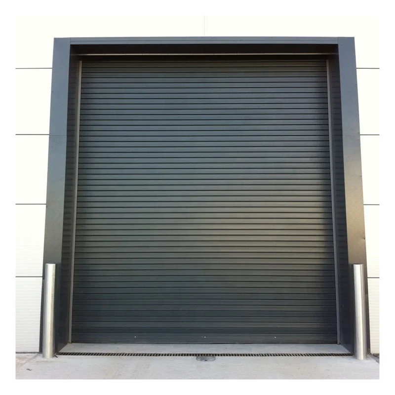 Customized Rapid Controlled Environment  Dust-proof Roller Shutter Door