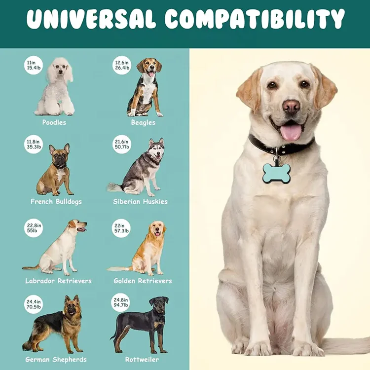 wholesale custom slides on qr code dog holder collar pet id dog name silicone name tag cat id tags dog tags for engraving