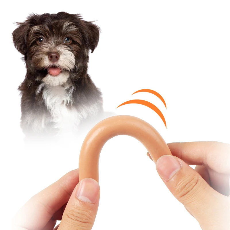 Factory Wholesale dog pet food ham sausage pet snacks natural pet treats sausage for dog cat ready to eat sausage