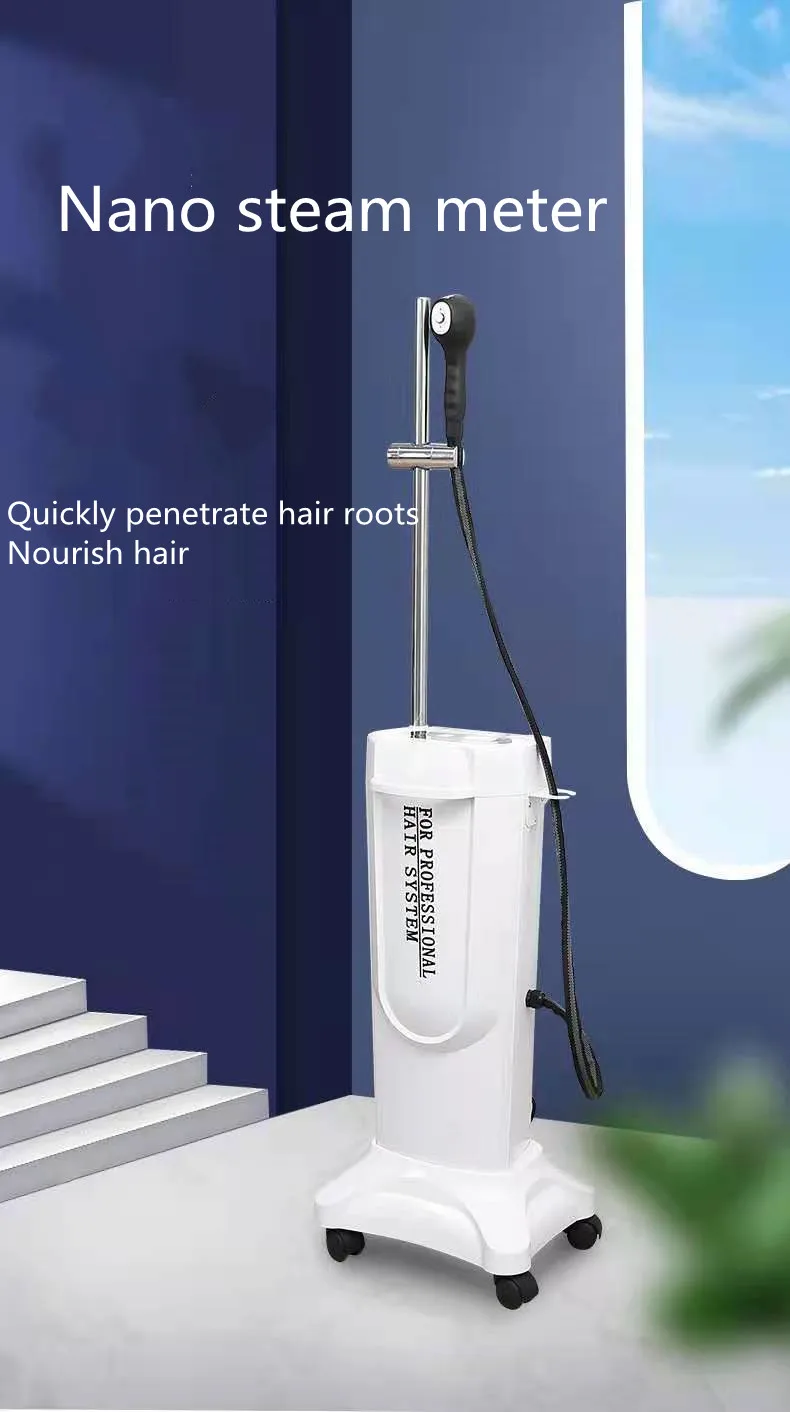 RTS Wholesale Top Quality Hair Salon Blue Light Nano Micro Spray Hair Steamer