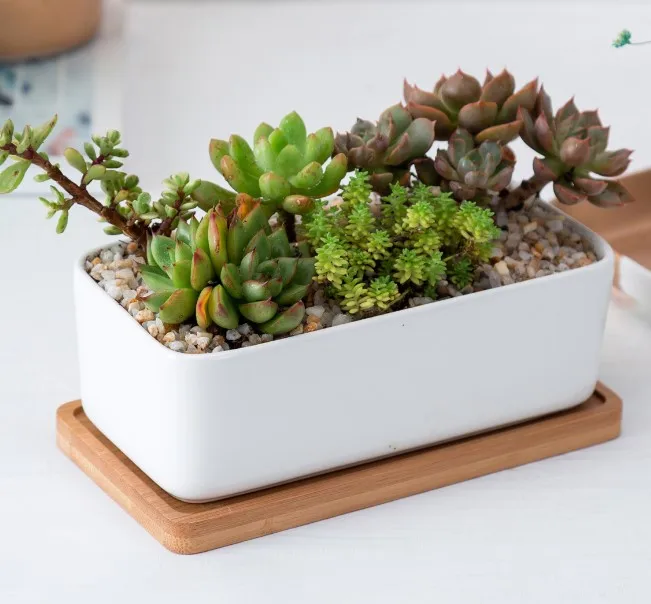 ceramic rectangle flower pots with bamboo saucer planter set wholesale