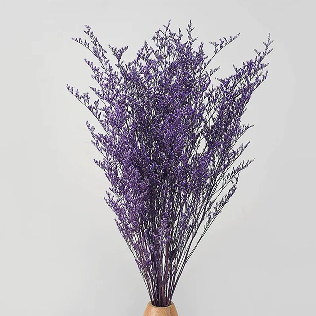 Caspia Preserved Flowers Limonium Stems Dried Flowers Craft Supplies Floral Home Wedding Decor Florals for Vase DIY Flowers