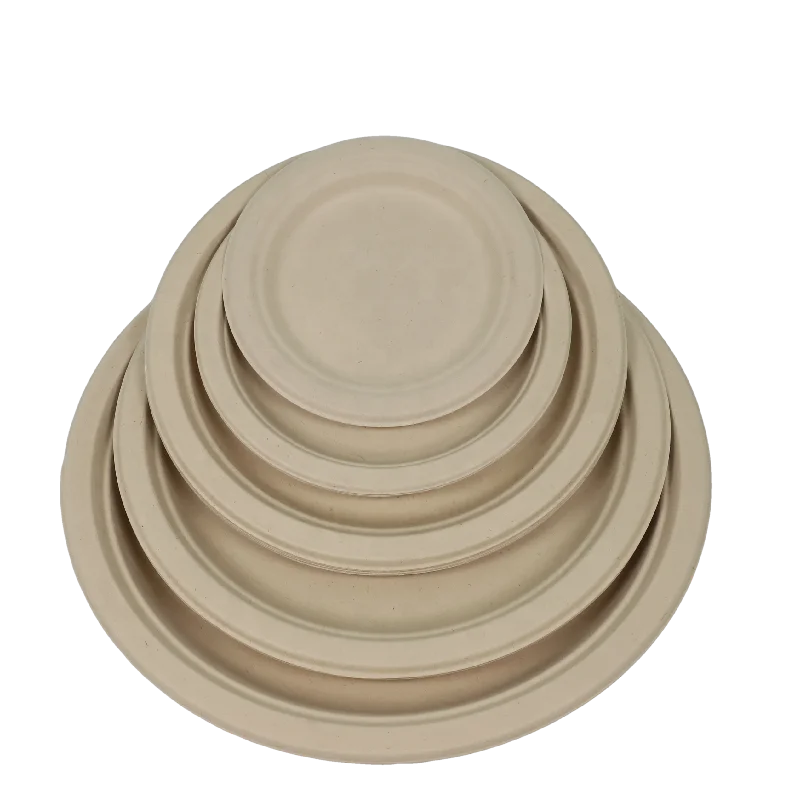 Biodegradable plates sell off disposable bagasse food containers100% compostable sugarcane bagasse food dishes for dinner