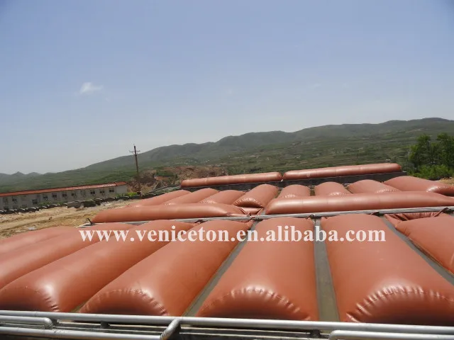 Veniceton Chinese Manufacturer of Bio Gas for Home Use
