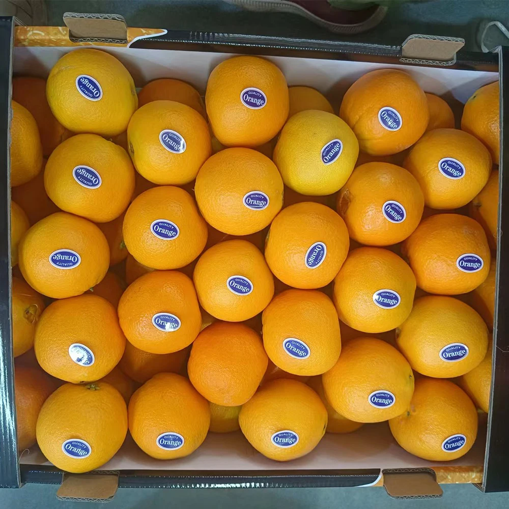 Gan Nan Navel Orange Sweet Juicy Fresh Fruit China Orange  Price