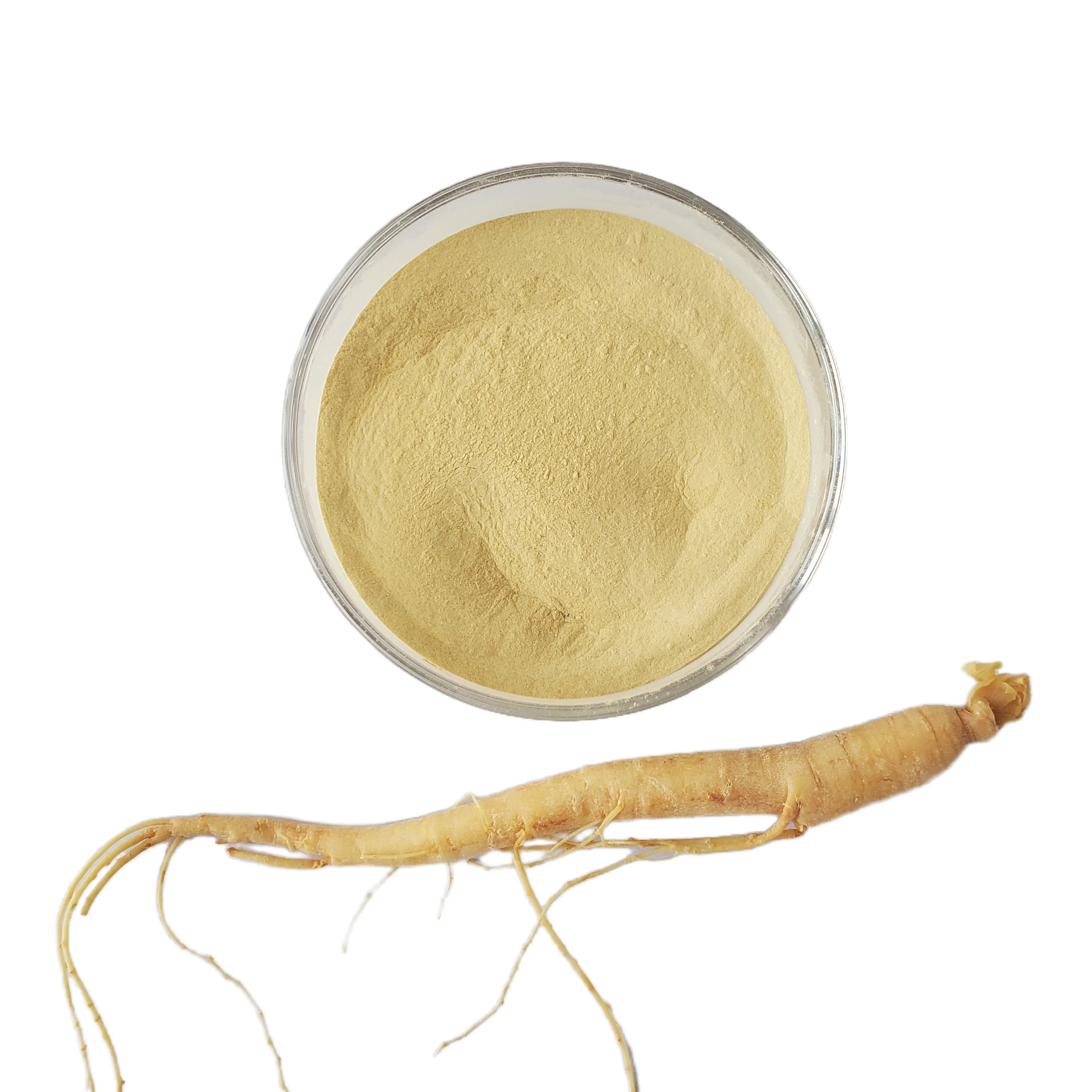 High Quality 80% Ginsenoside Panax Ginseng Extract Powder