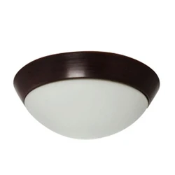 16 inch opal glass ceiling black led 15w E26 ceiling lamp  light home lighting