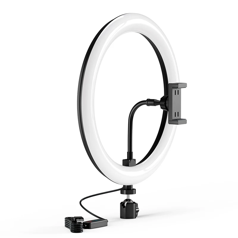 Table Top Dimmable Remote Controlled Photographic Lighting 10 Inch LED Ring Light For Live Broadcast