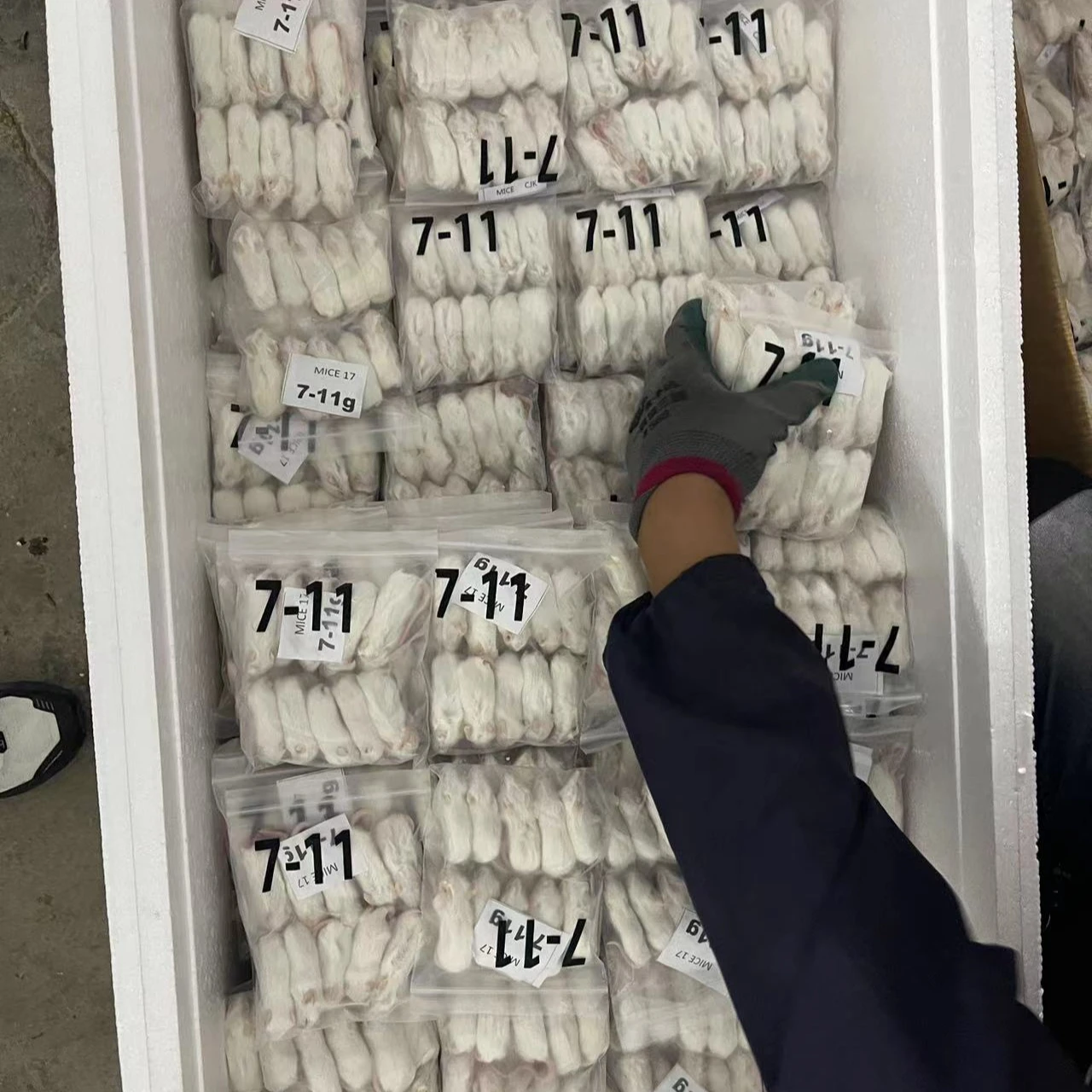 Ферма породы Замороженные мыши и крысы для домашних змей